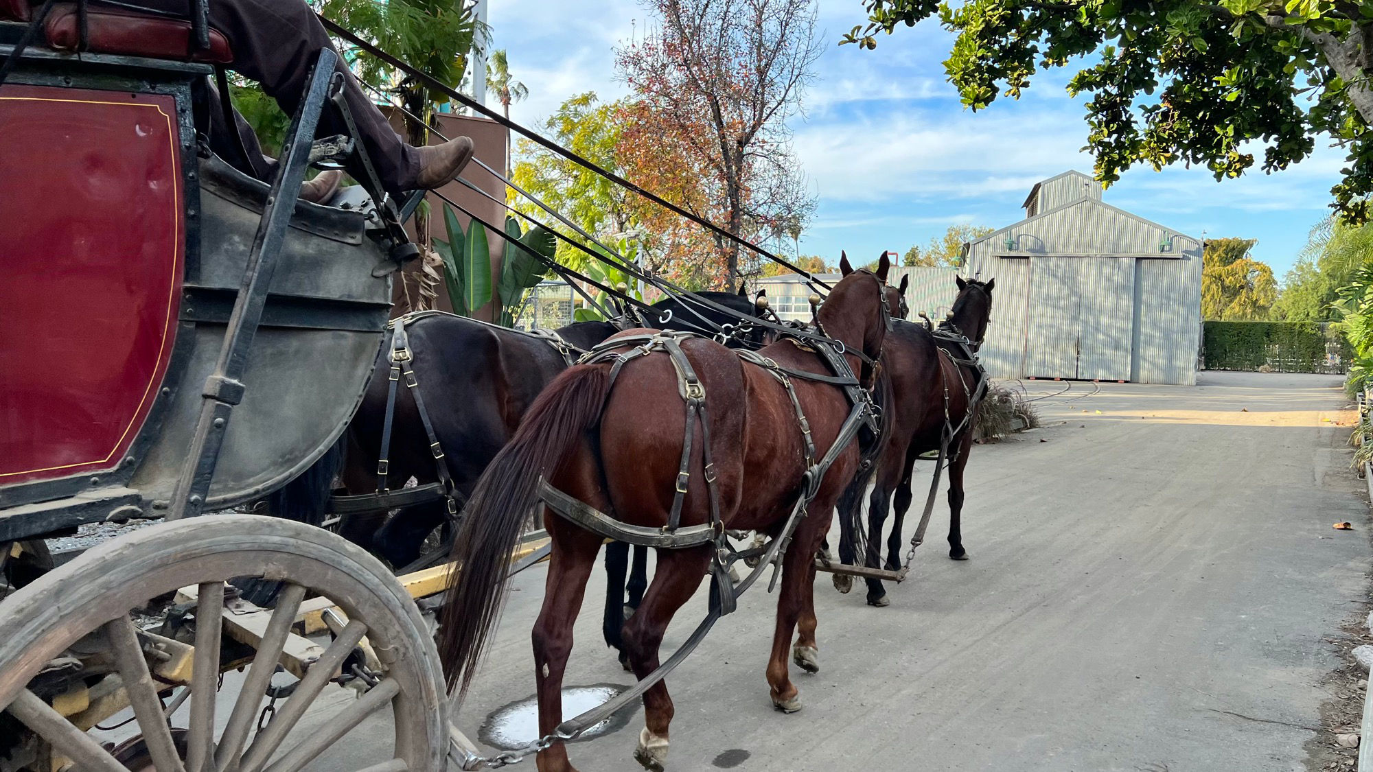 Stagecoach Supreme Scream