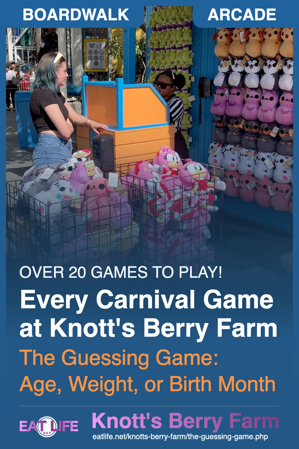 The Guessing Game