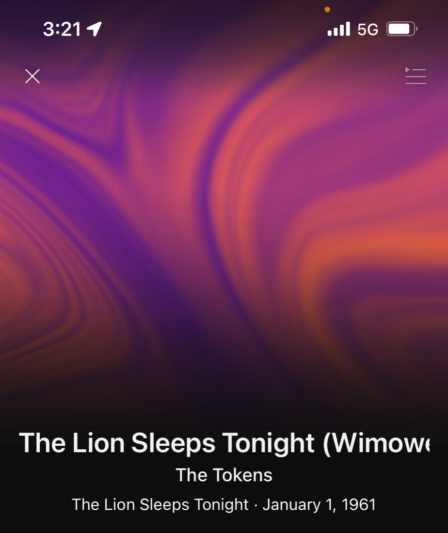 The Lion Sleeps Tonight