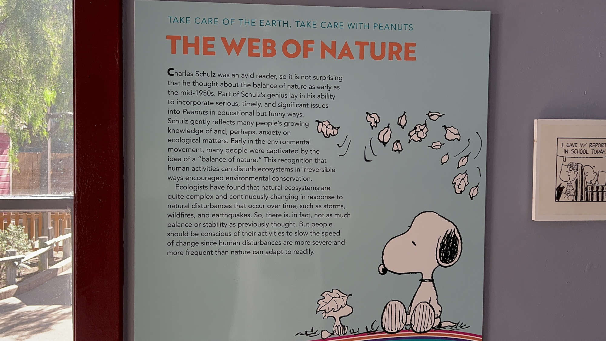The Web of Nature