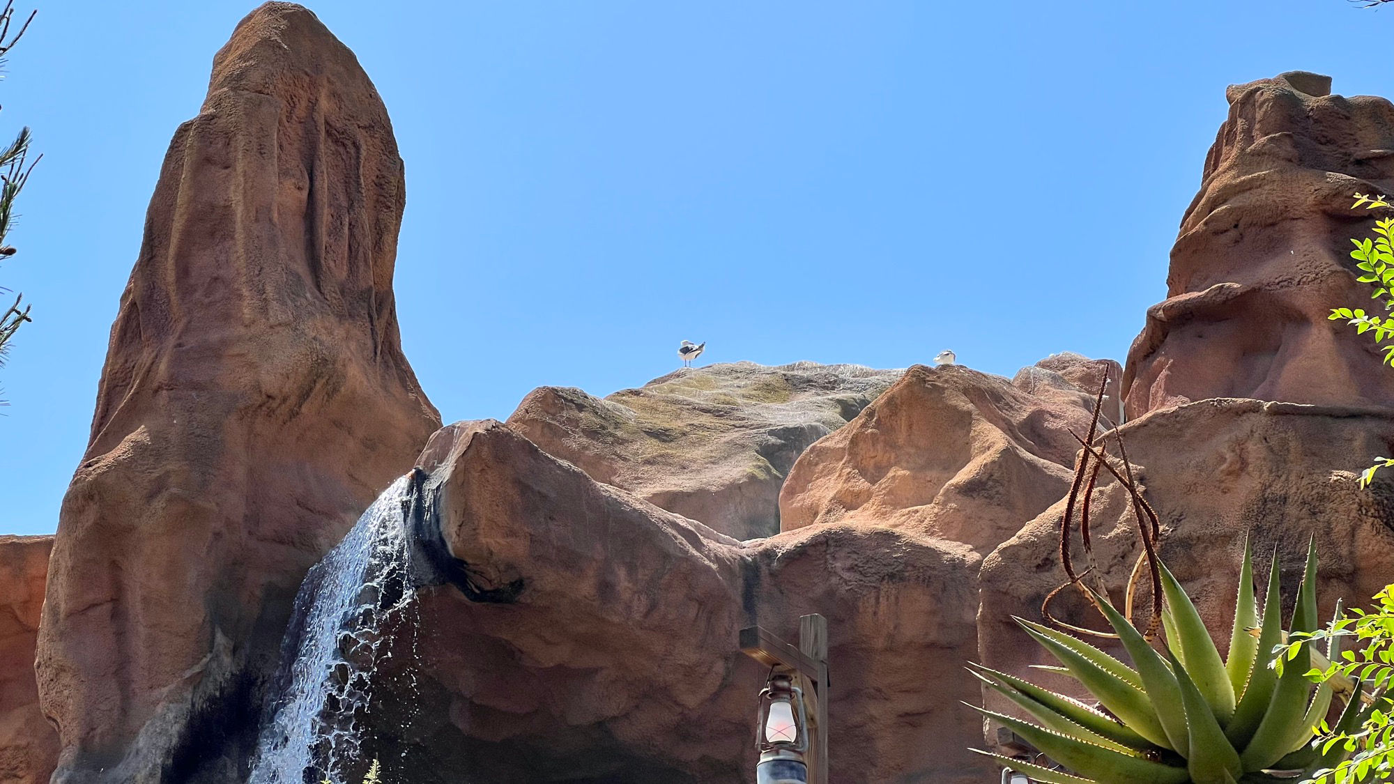 Timber Mountain Log Ride Seagulls