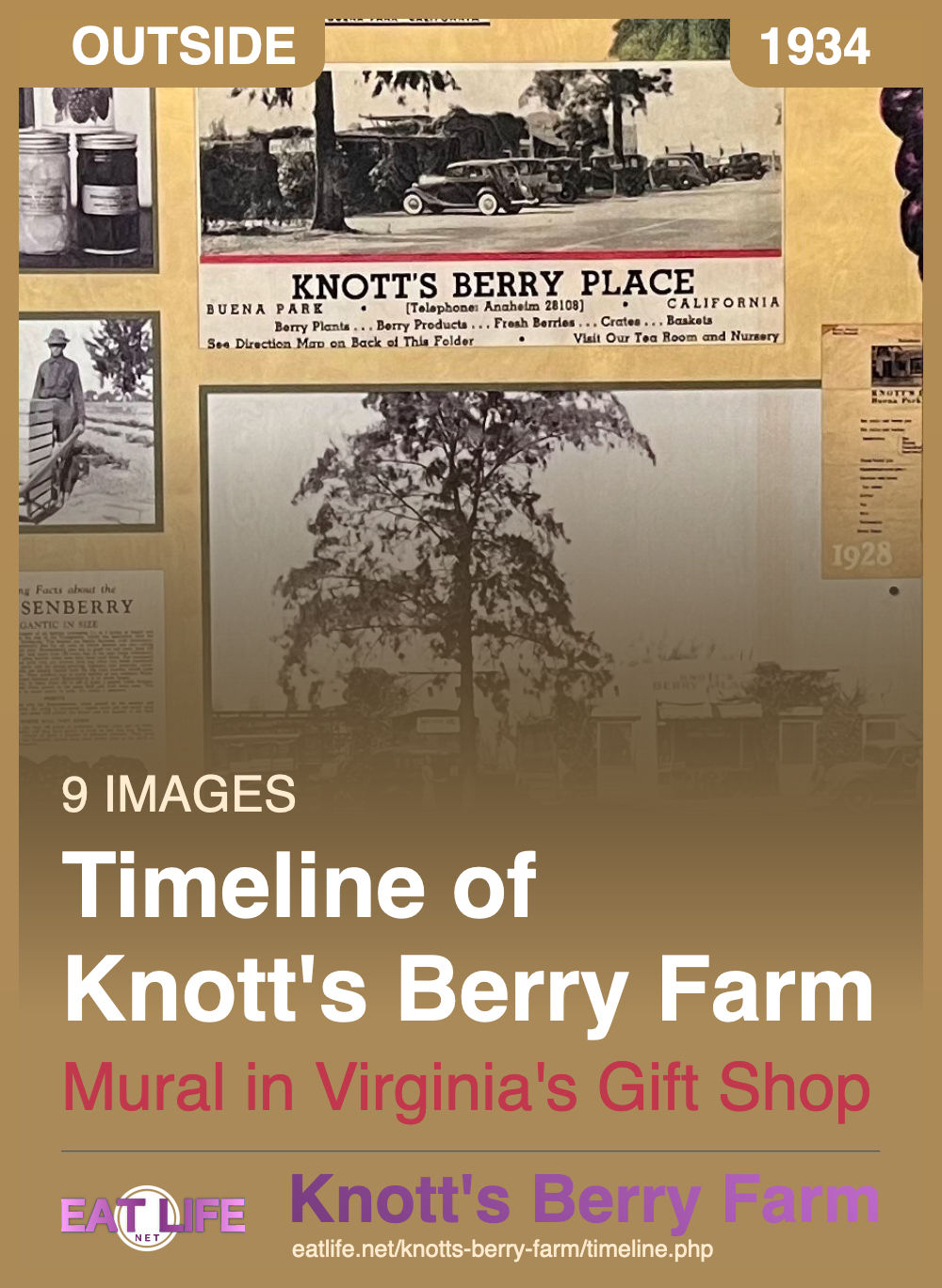 KBF Timeline