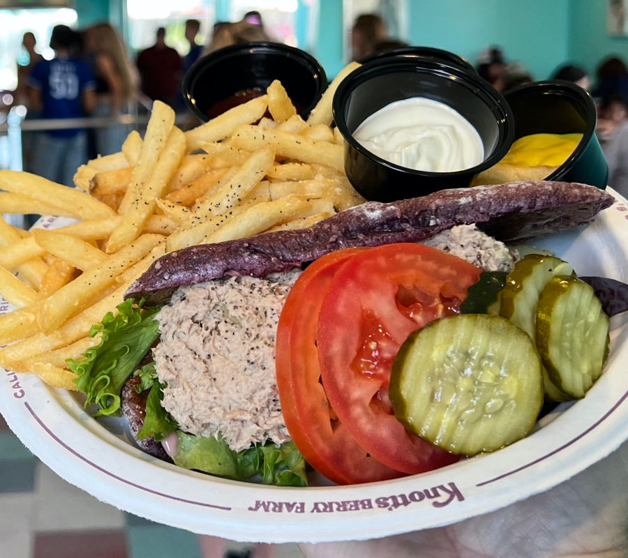 Tuna Sandwich Basket