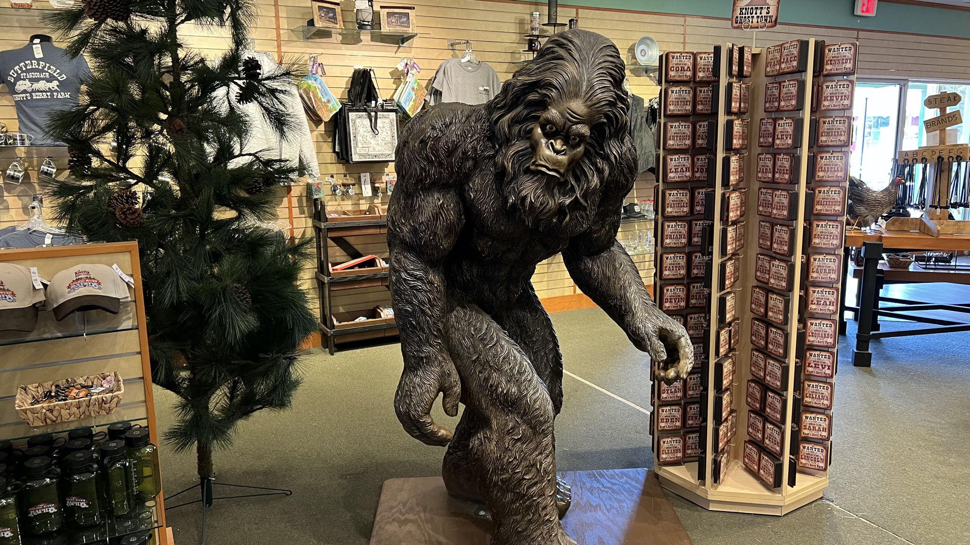 Virginia's Gift Shop Bigfoot