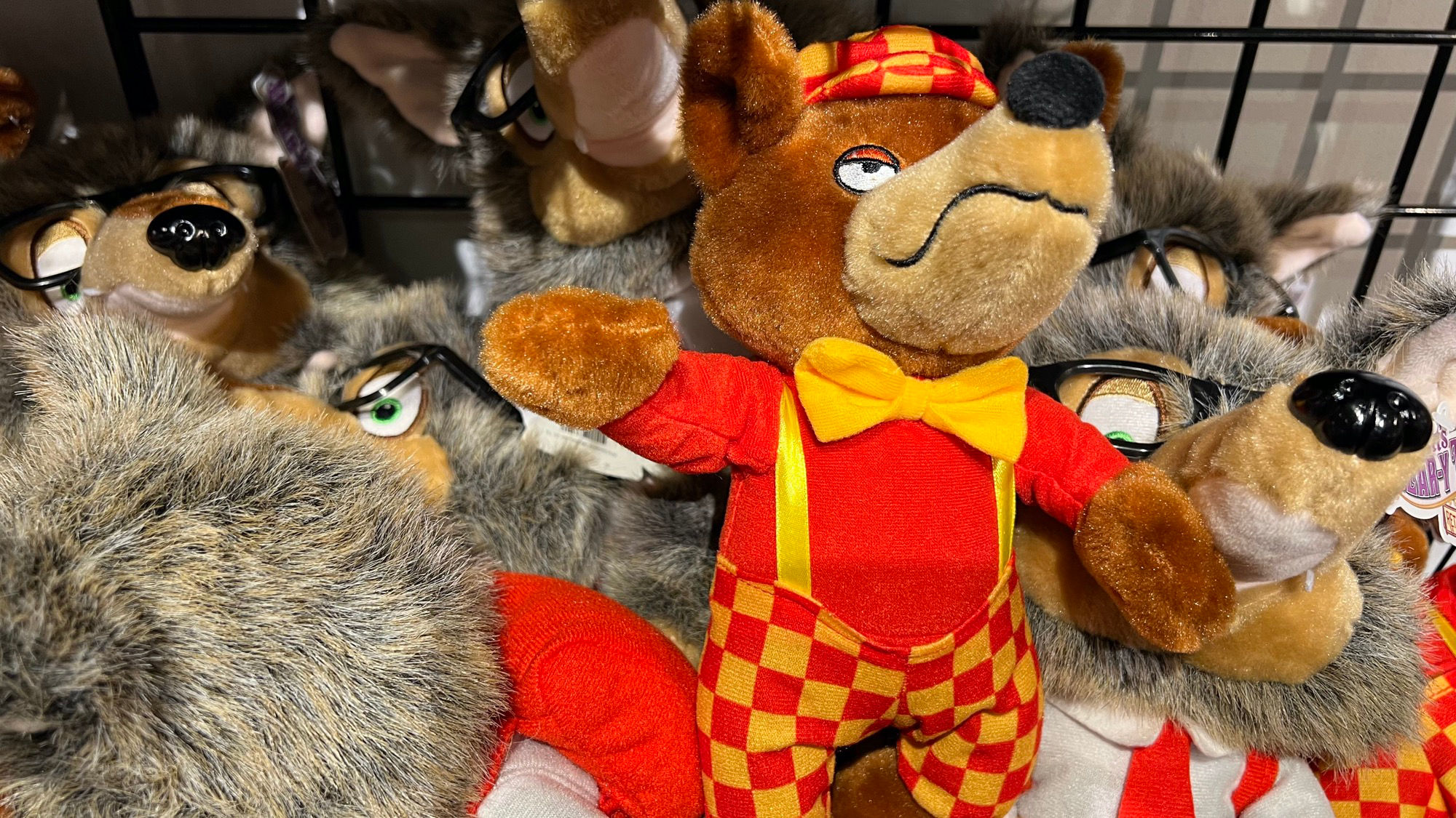 Brainy Coyote Pup and Crafty Coyote Virginia's Gift Shop Brainy Coyote Pup and Crafty Coyote