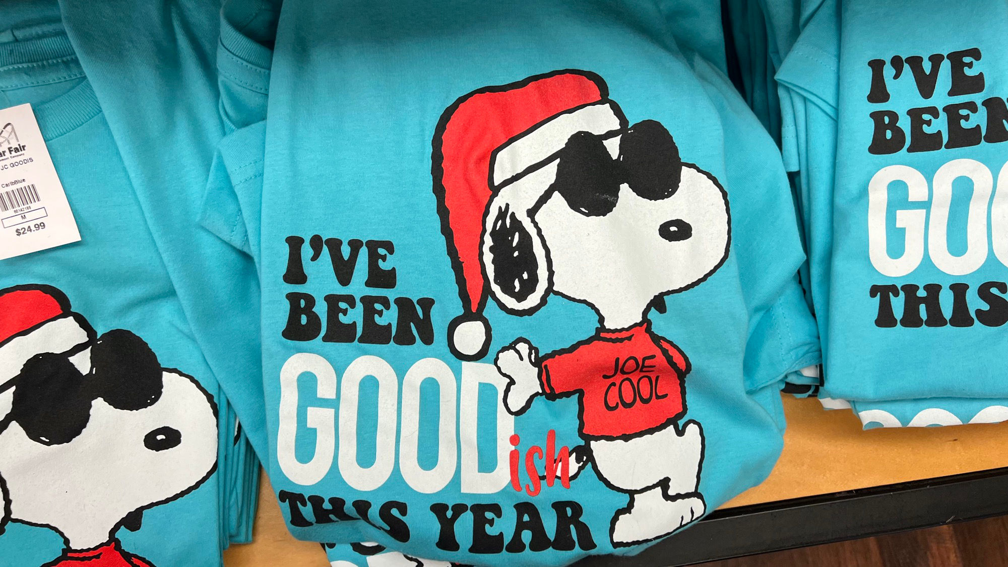 Virginia's Gift Shop Snoopy Christmas