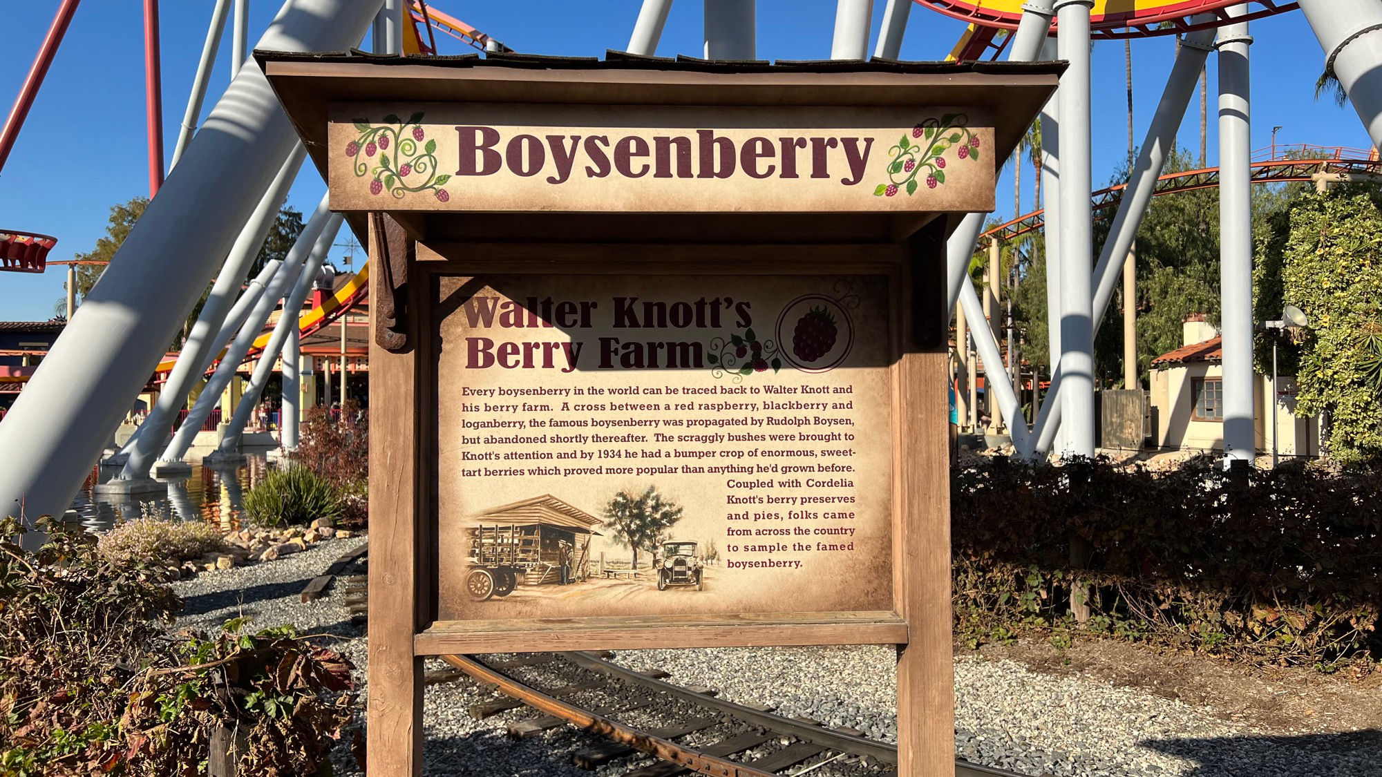 Boysenberry