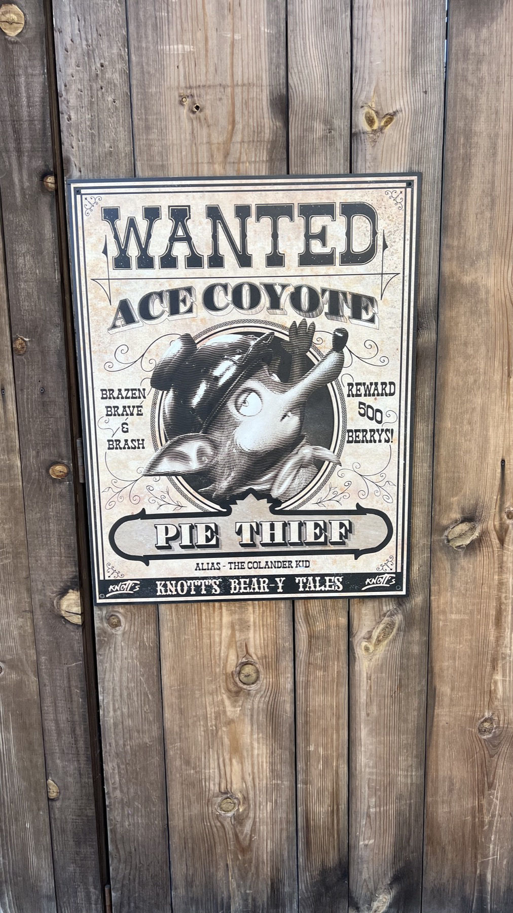 Wanted Ace Coyote Wanted Ace Coyote