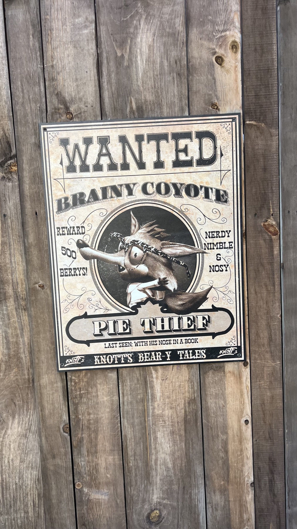 Wanted Brainy Coyote Wanted Brainy Coyote