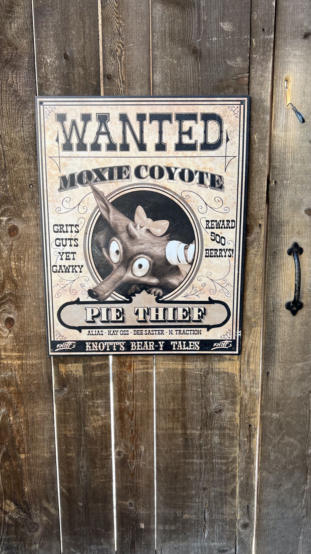 Wanted Moxie Coyote Wanted Moxie Coyote