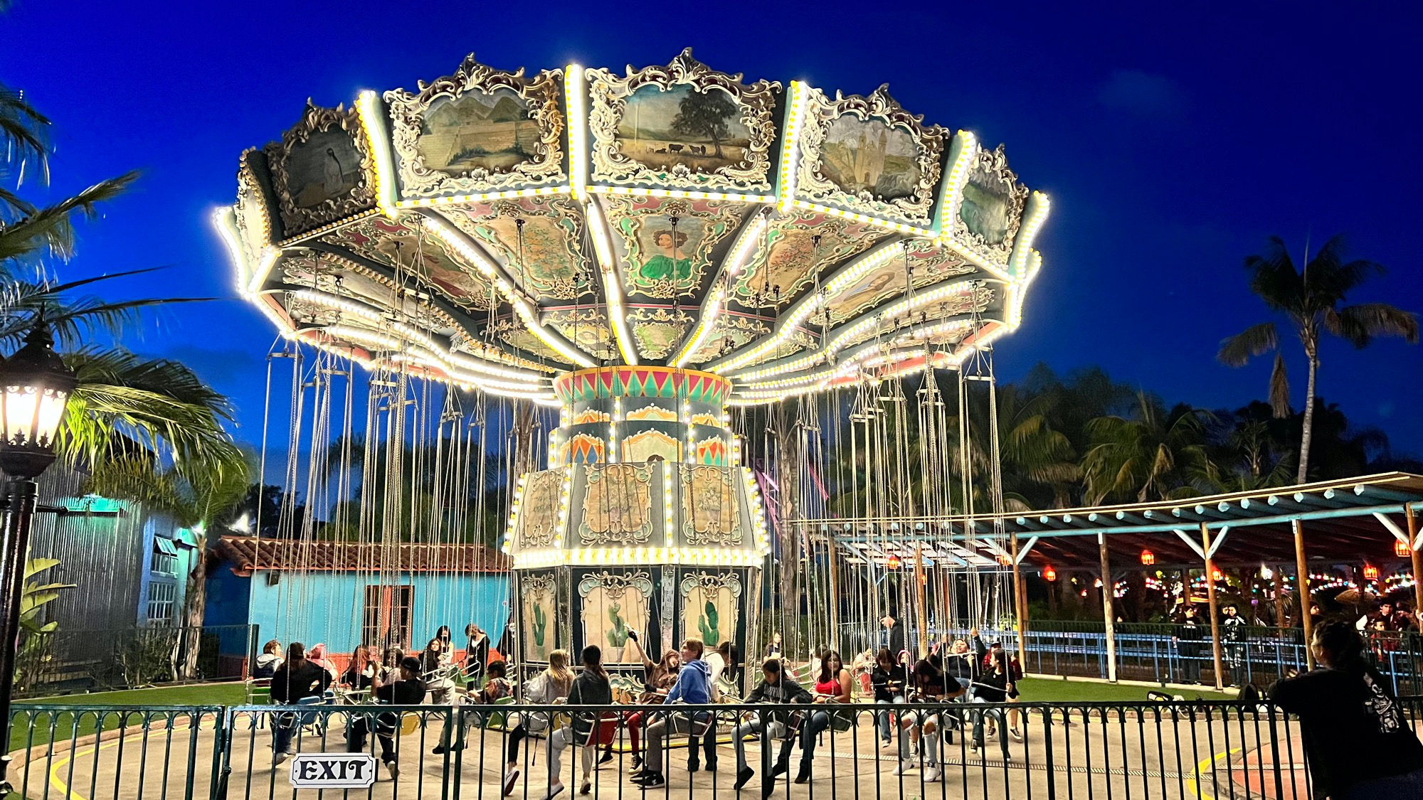 Wave Swinger at Night