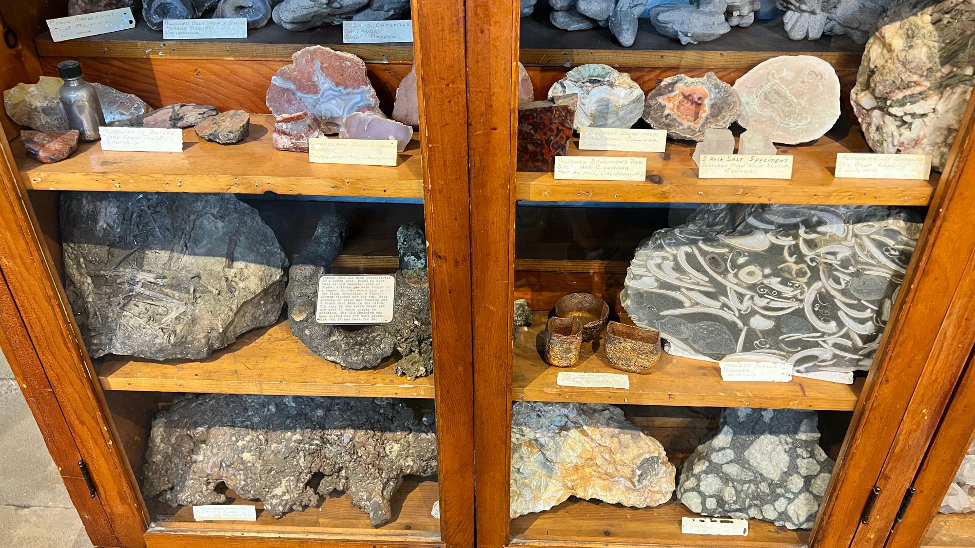 Opalized Shells