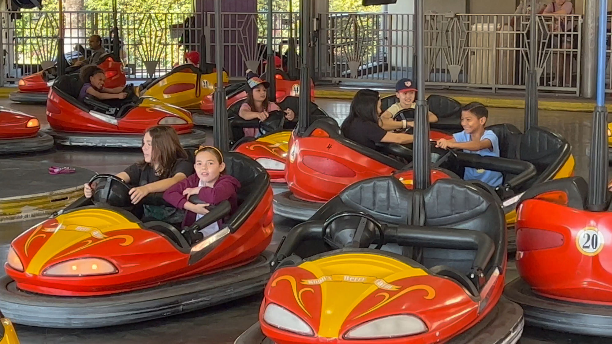 Wheeler Dealer Bumper Cars