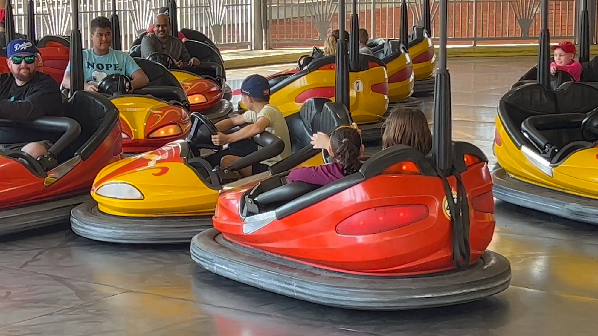 Wheeler Dealer Bumper Cars
