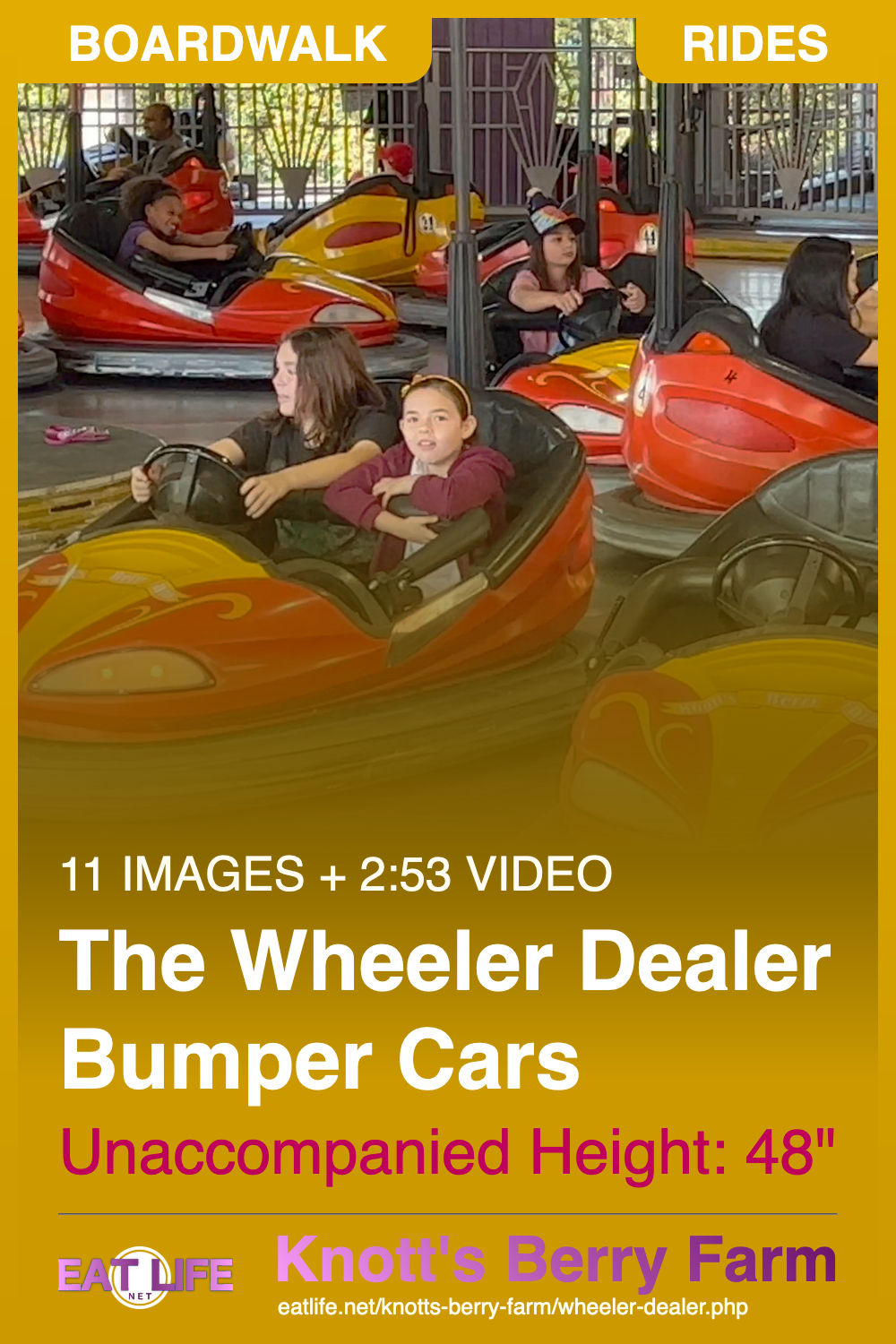Wheeler Dealer Bumper Cars