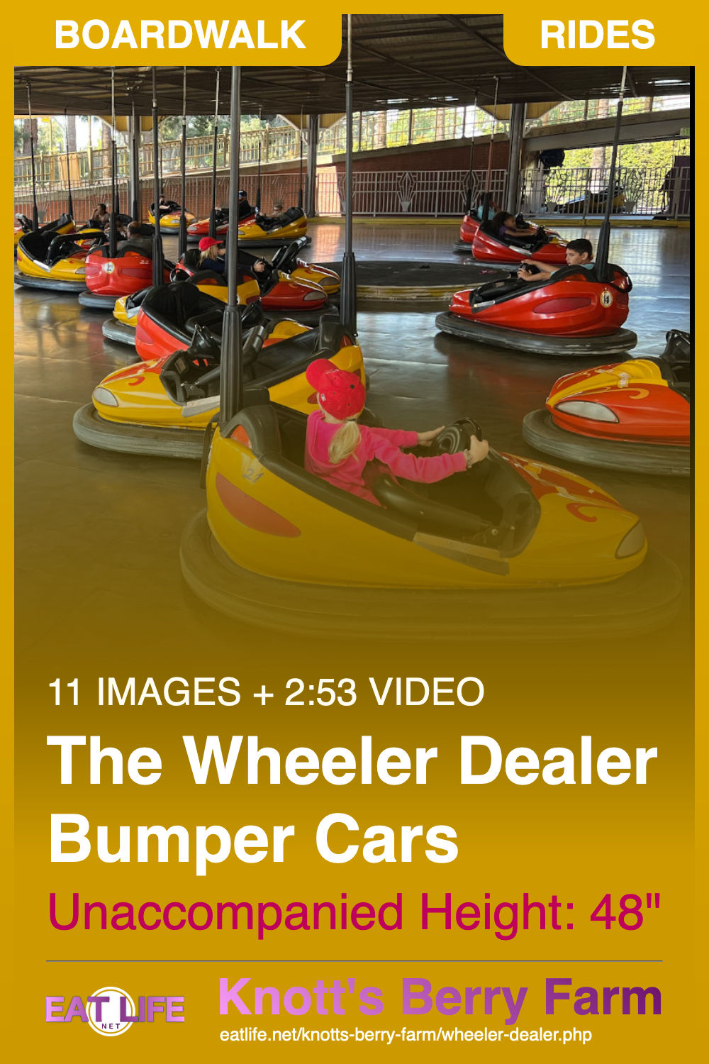 Wheeler Dealer Bumper Cars