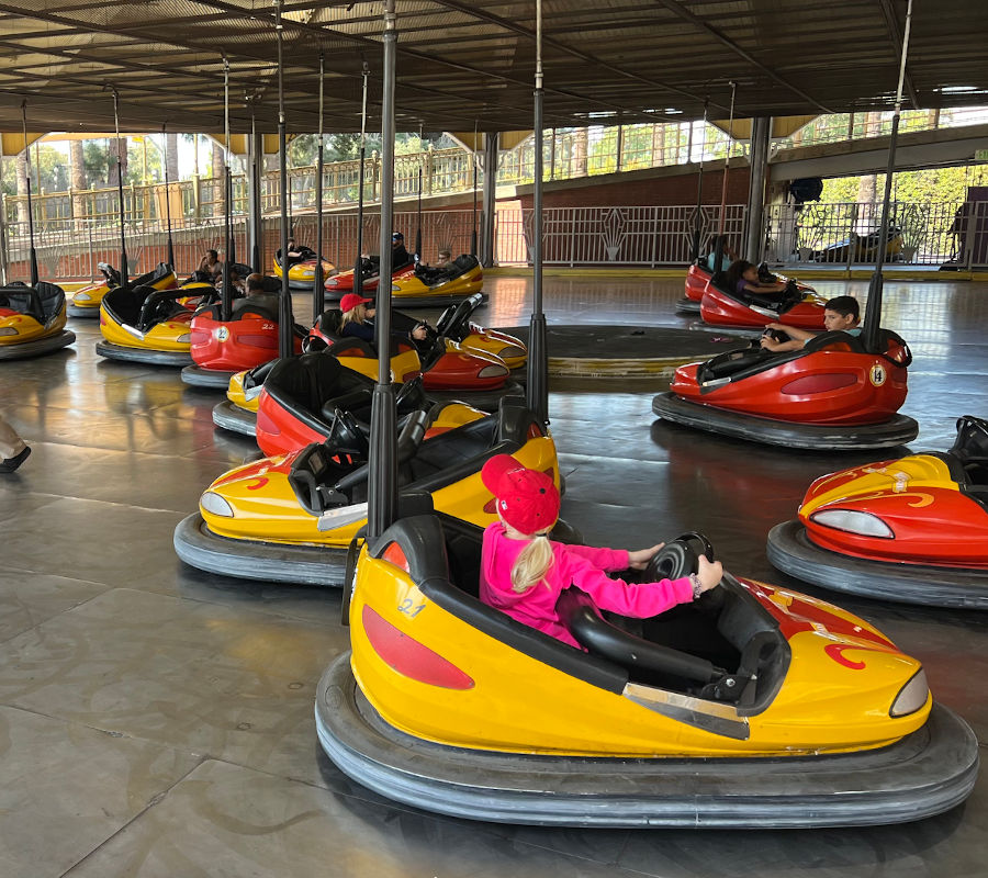 Wheeler Dealer Bumper Cars