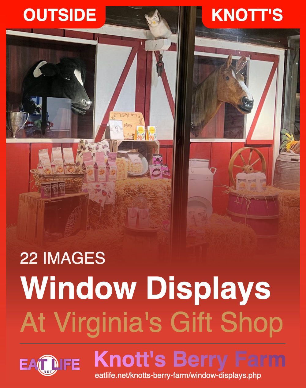 Window Displays