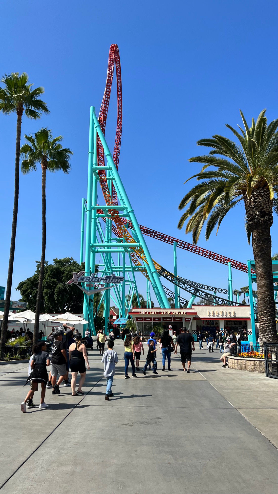 Tall Xcelerator Tall