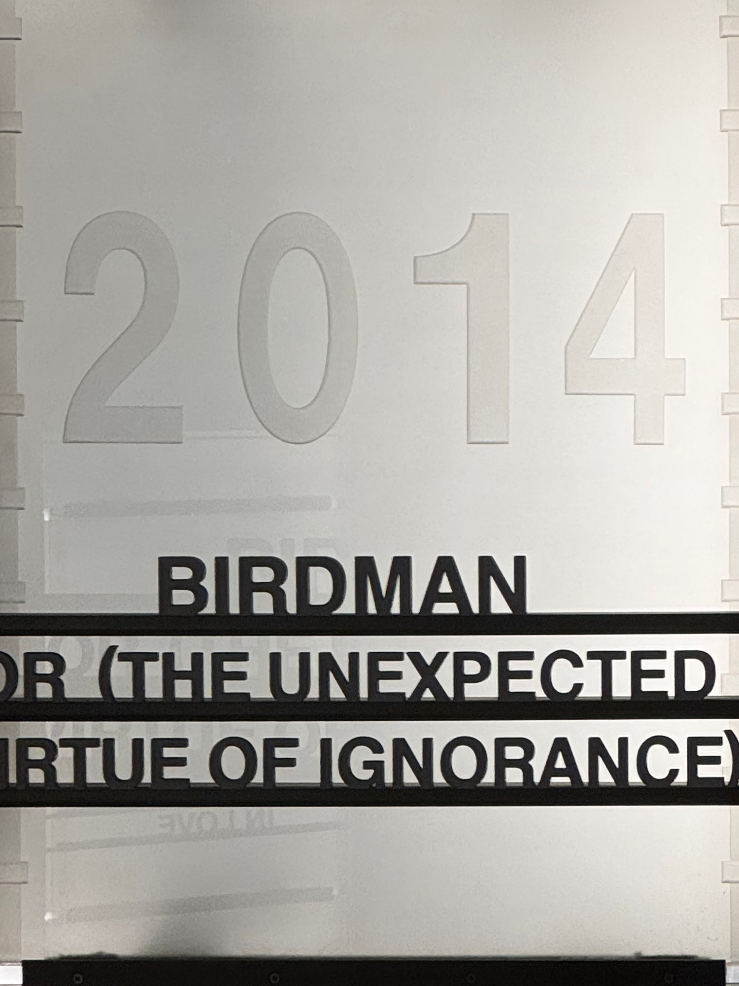 Birdman or (The Unexpected Virtue of Ignorance)
