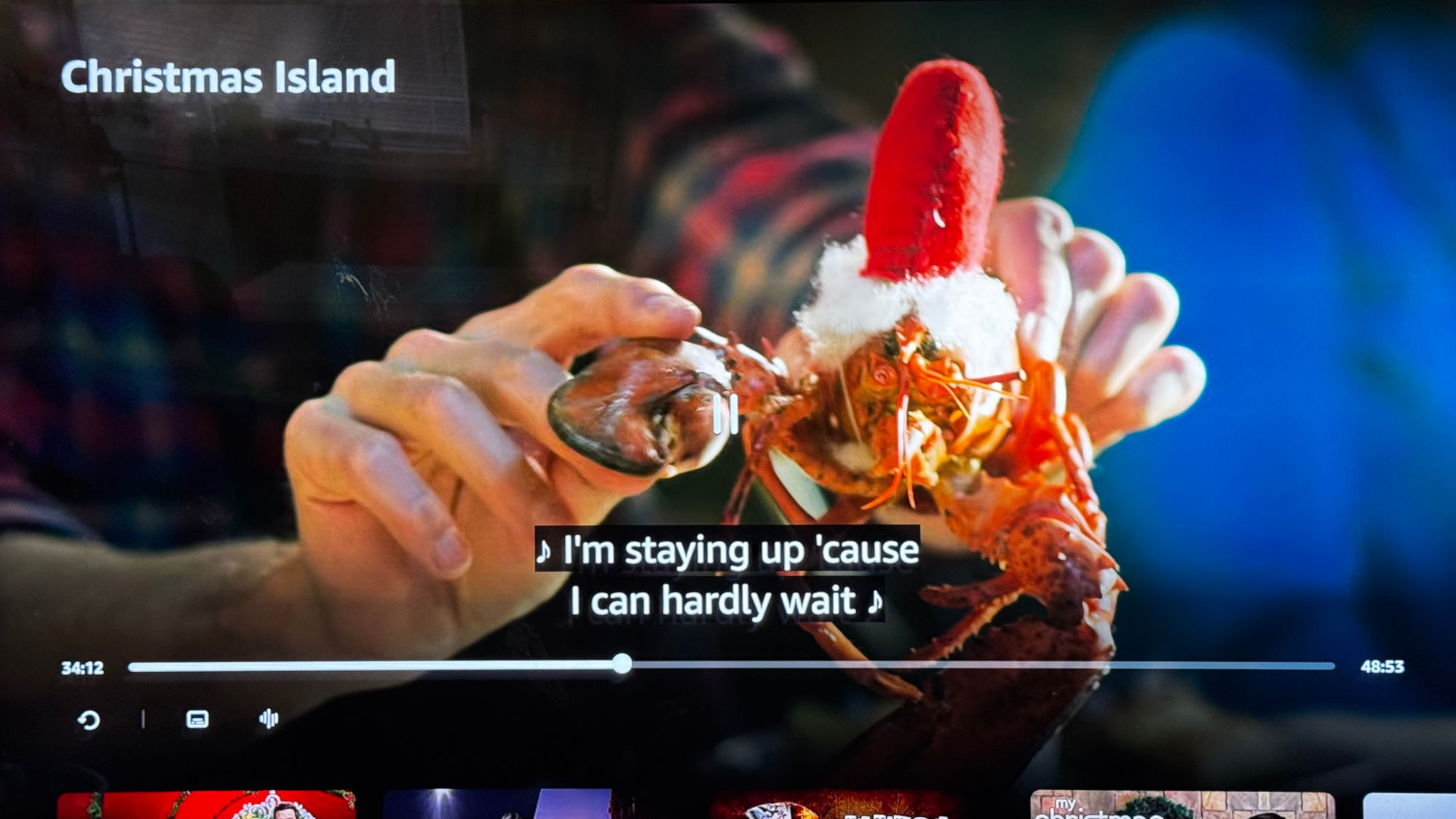 Christmas Island Santa Hat Lobster