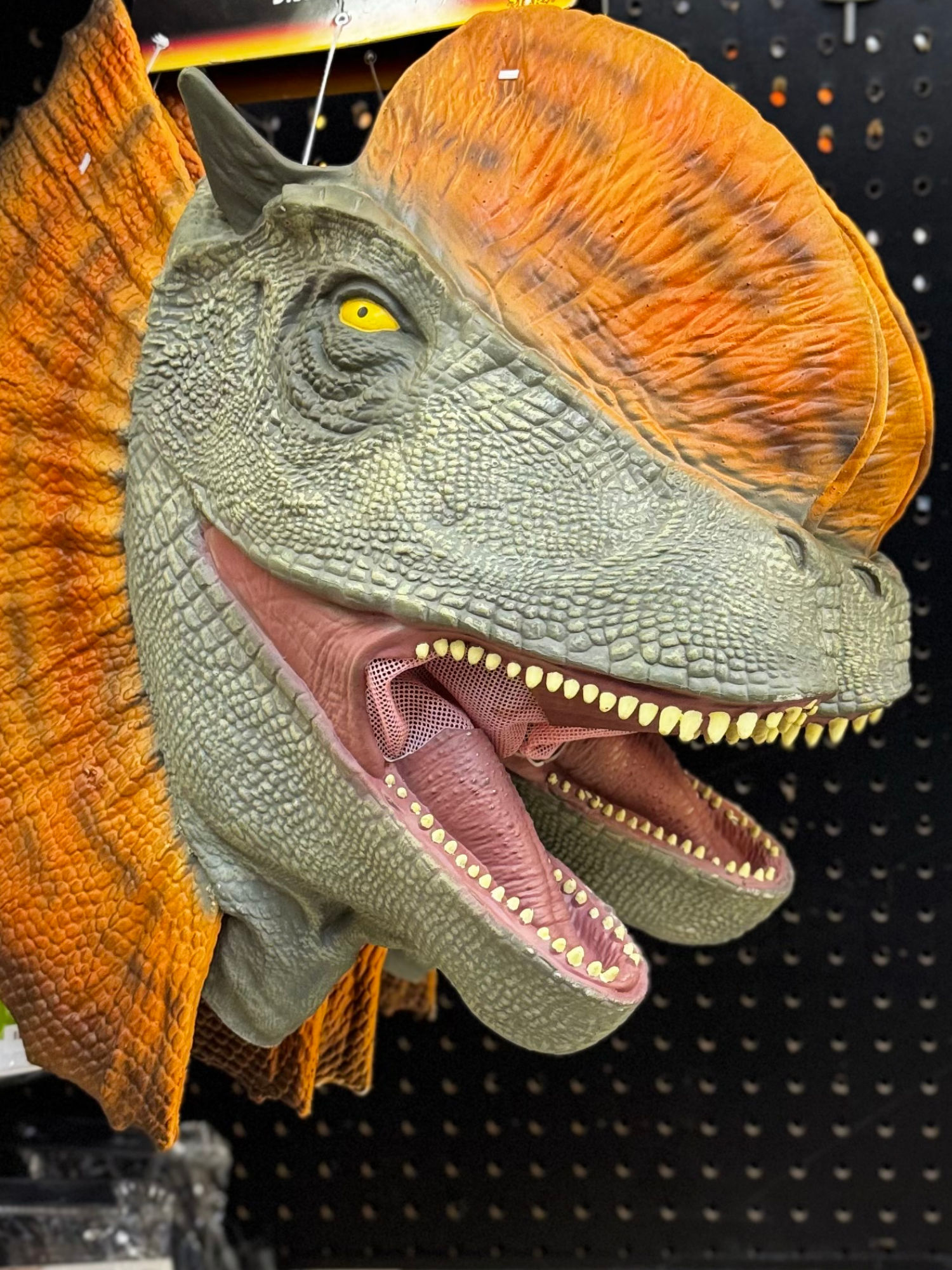 The Lost World: Jurassic Park