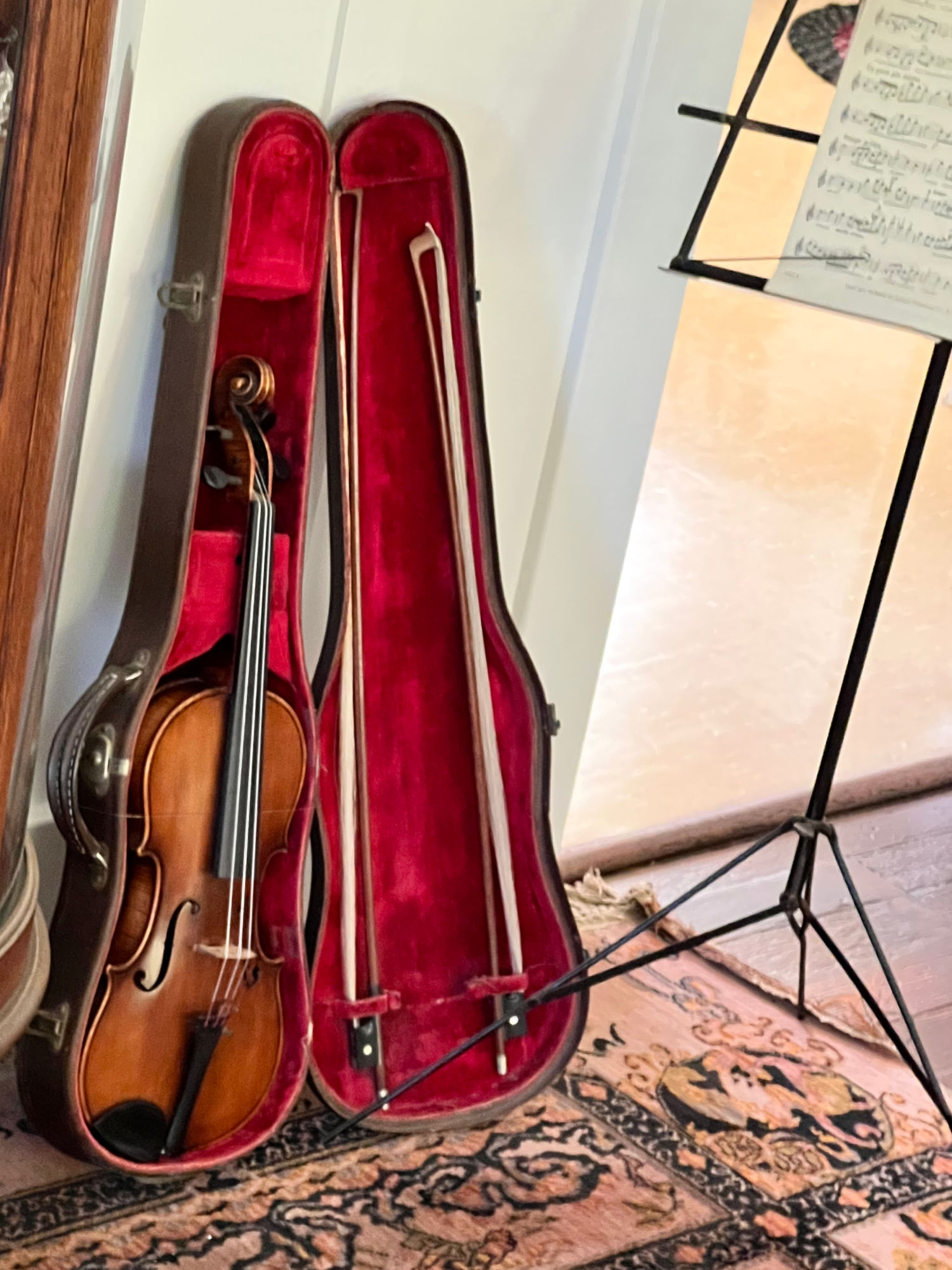 Nixon Violin