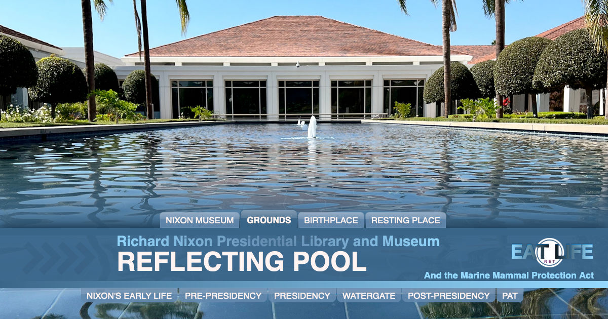 Reflecting Pool