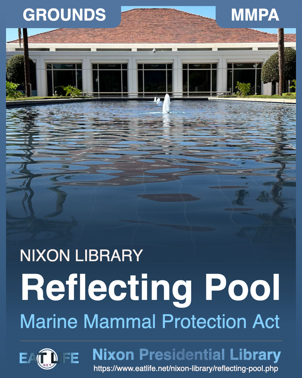 Reflecting Pool