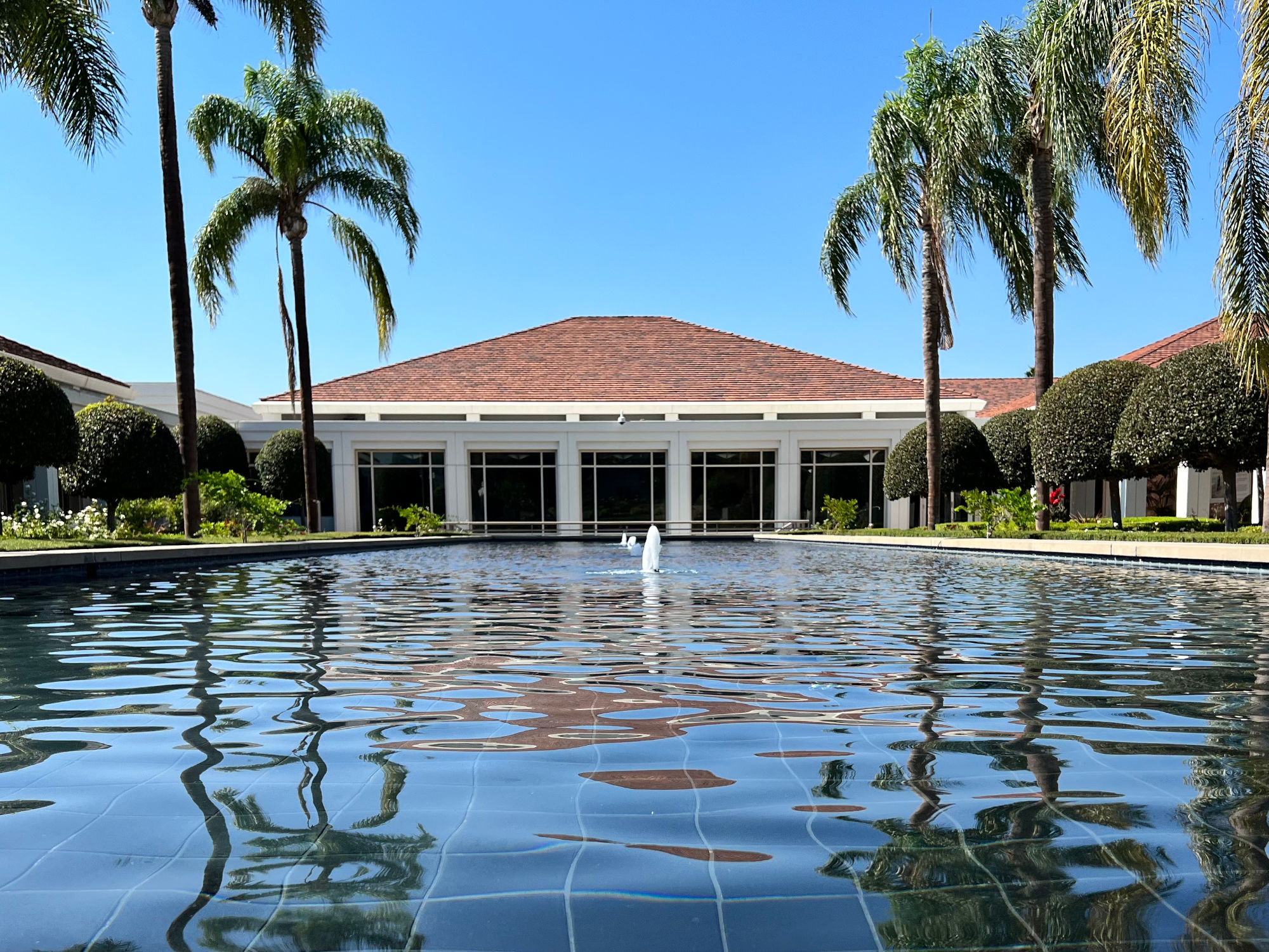 Library Grounds