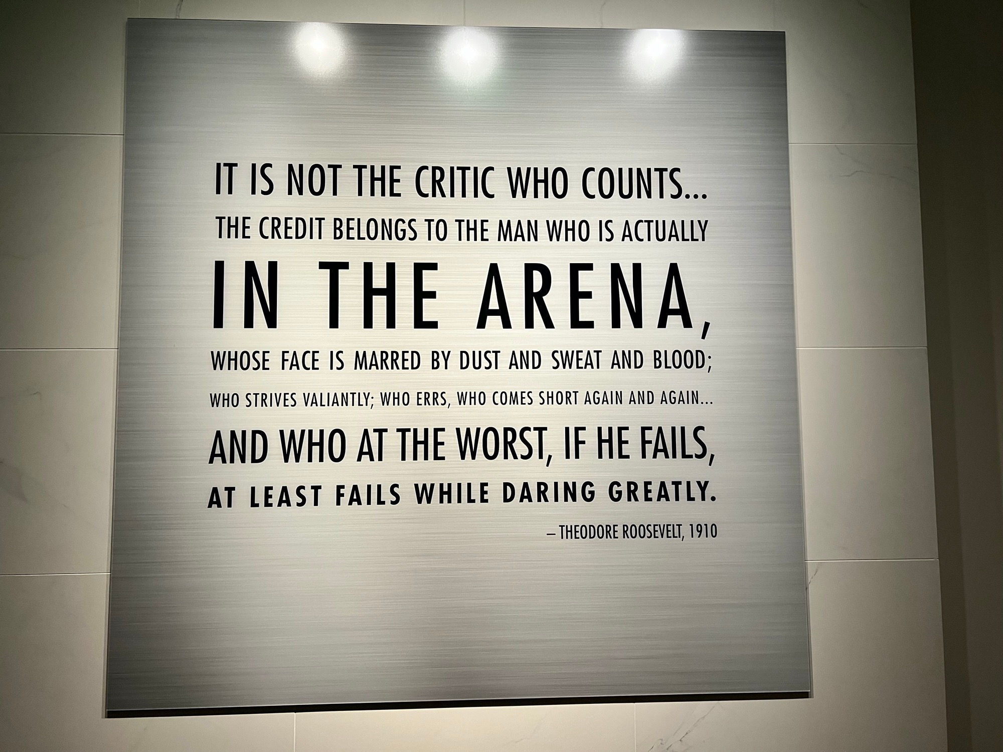 In the Arena Roosevelt In the Arena