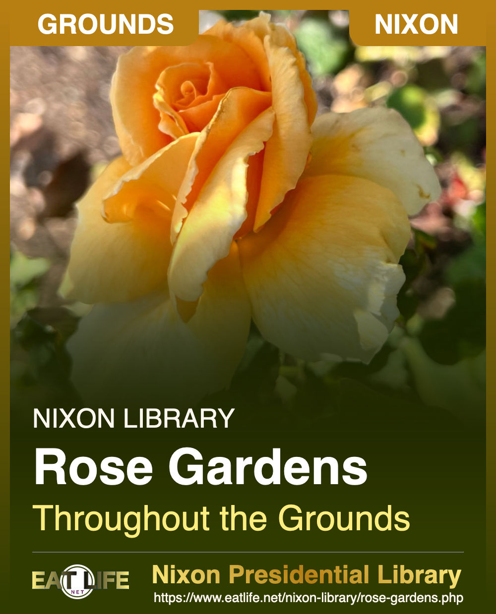 Rose Gardens