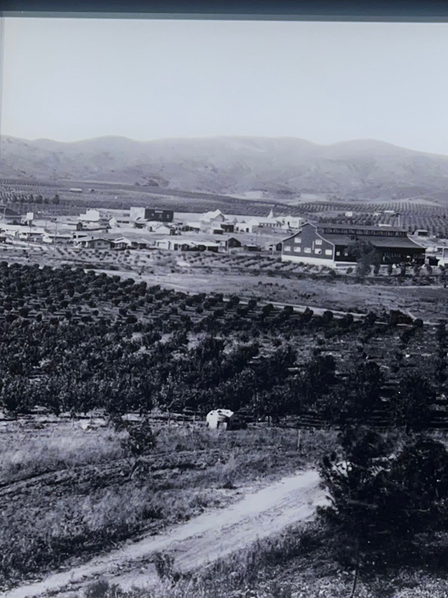 Yorba Linda, CA, 1916