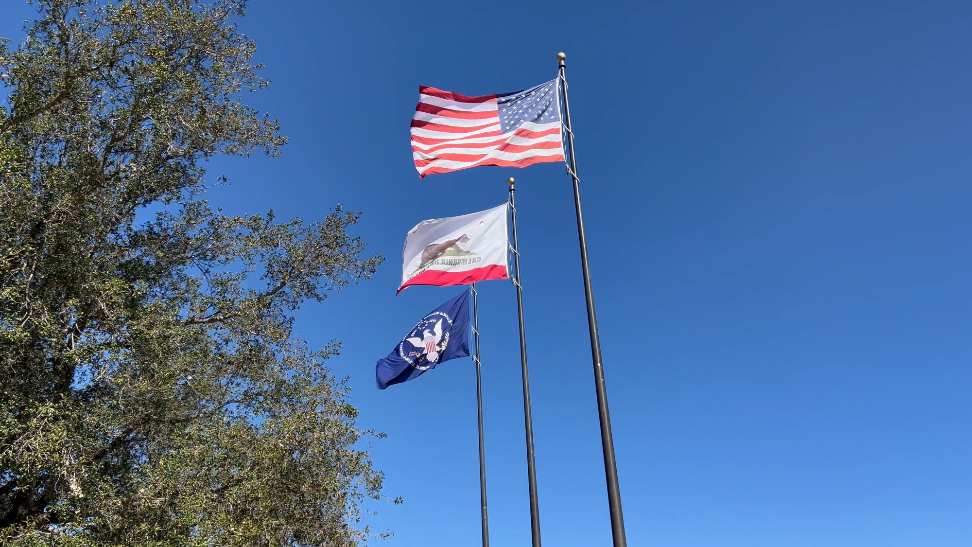 Reagan Library Flags
