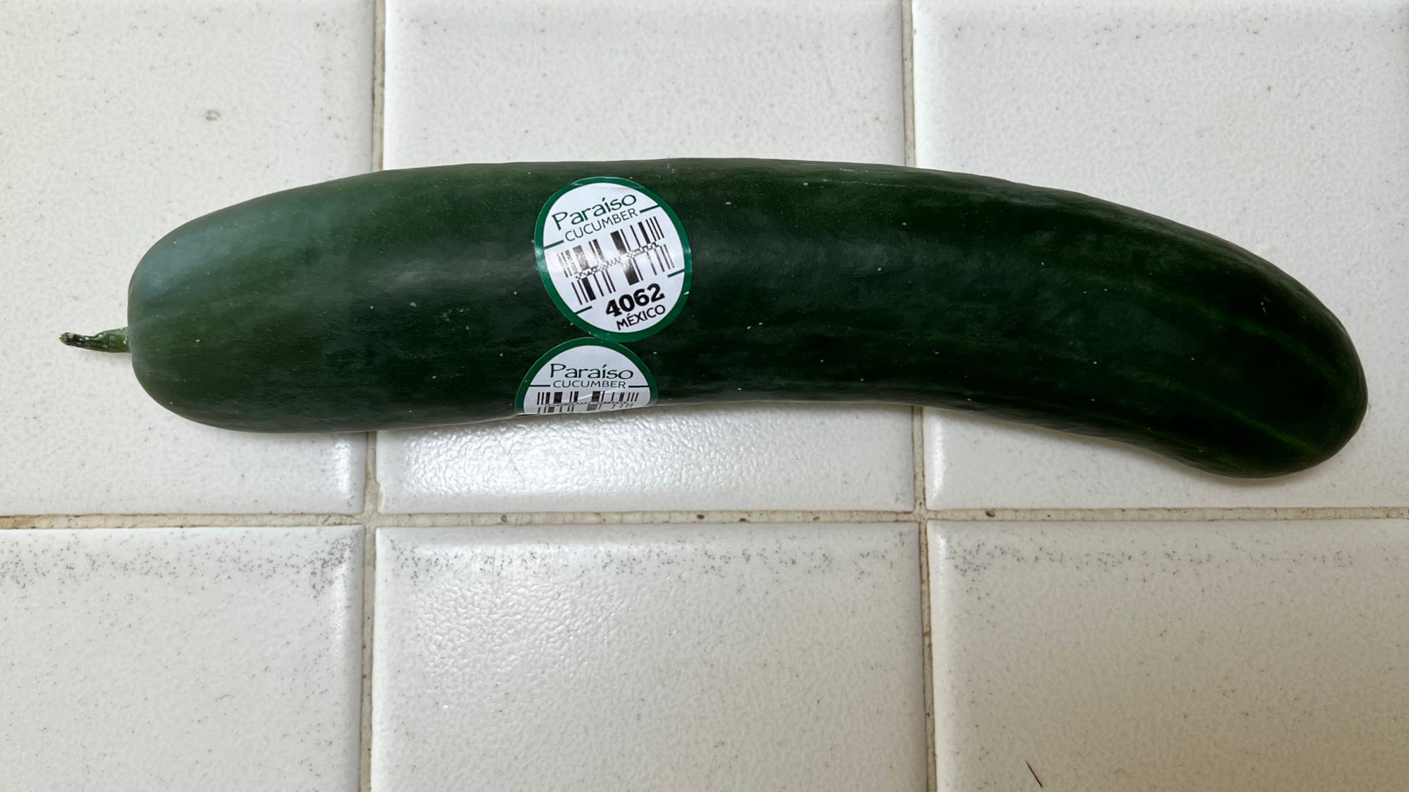 Accordion Cucumber Cucumber
