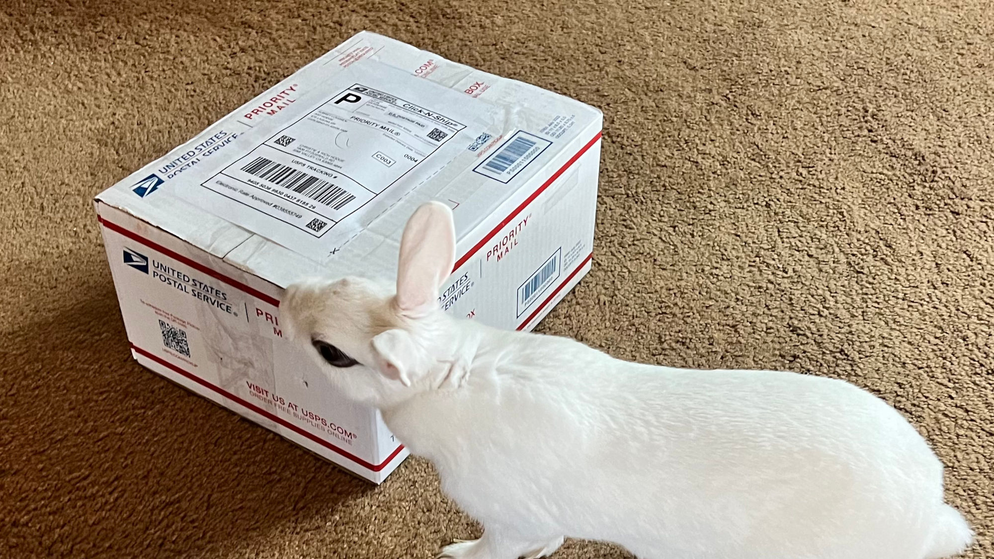 Cookies Priority Mail
