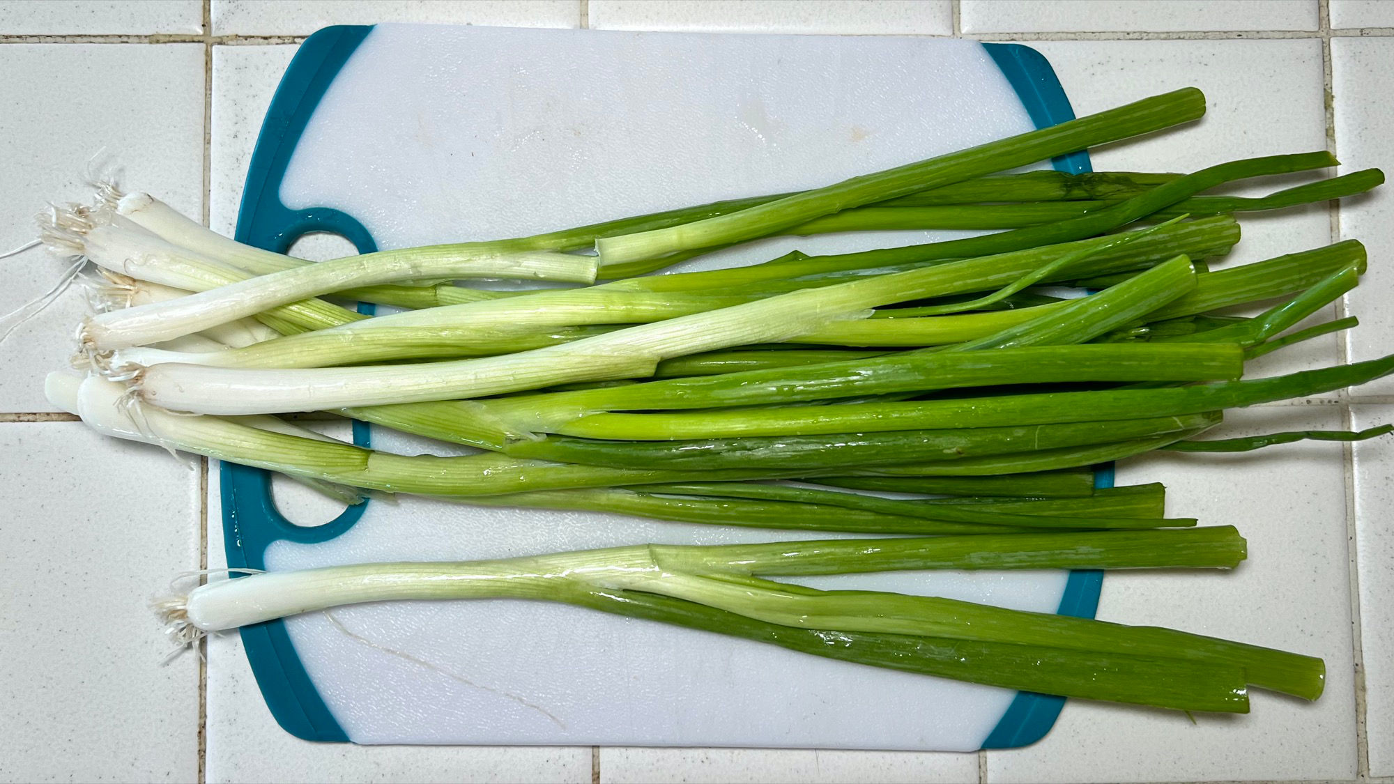 Washed Green Onions Washed