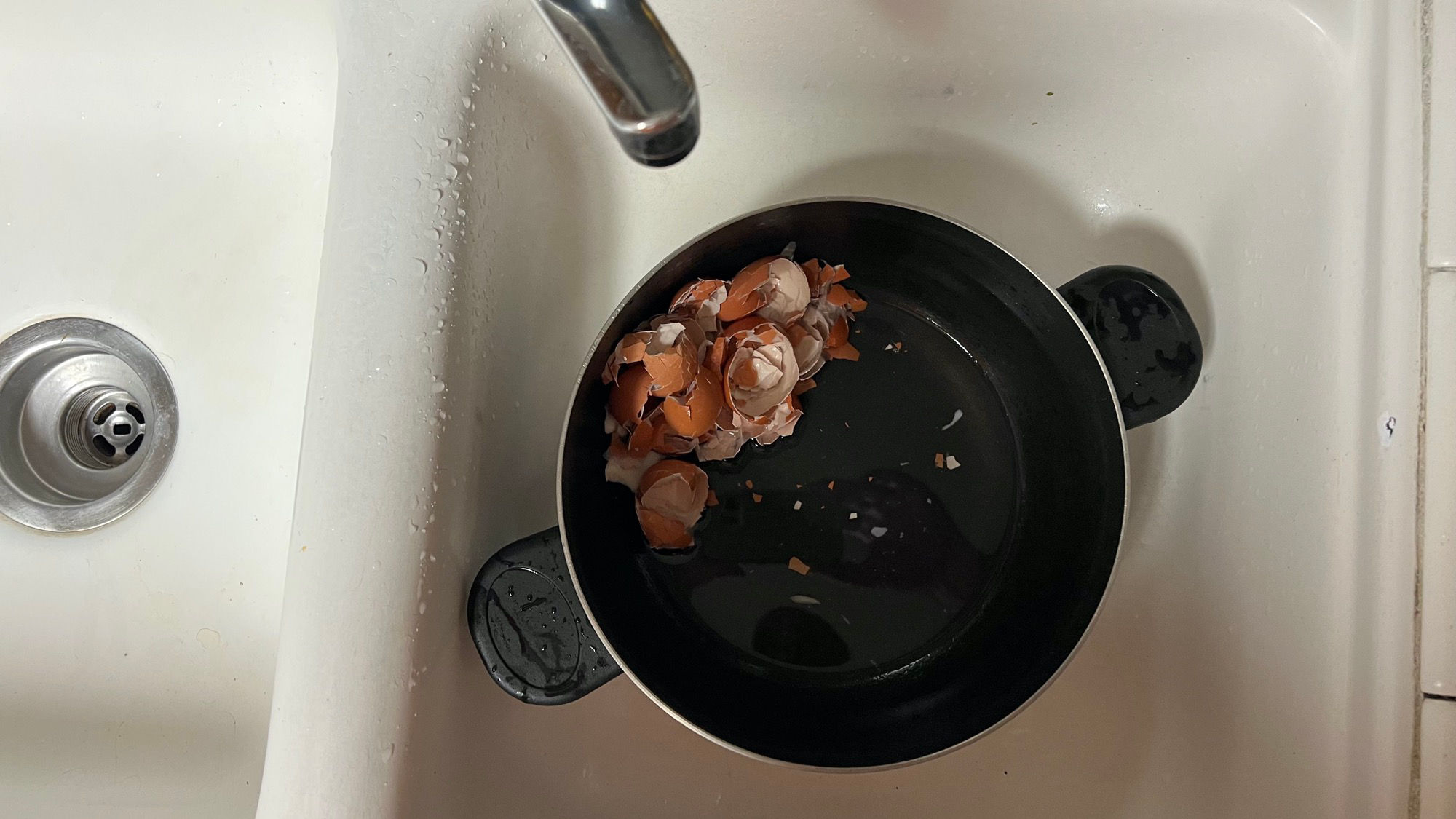 Hard Boiled Eggs Shells
