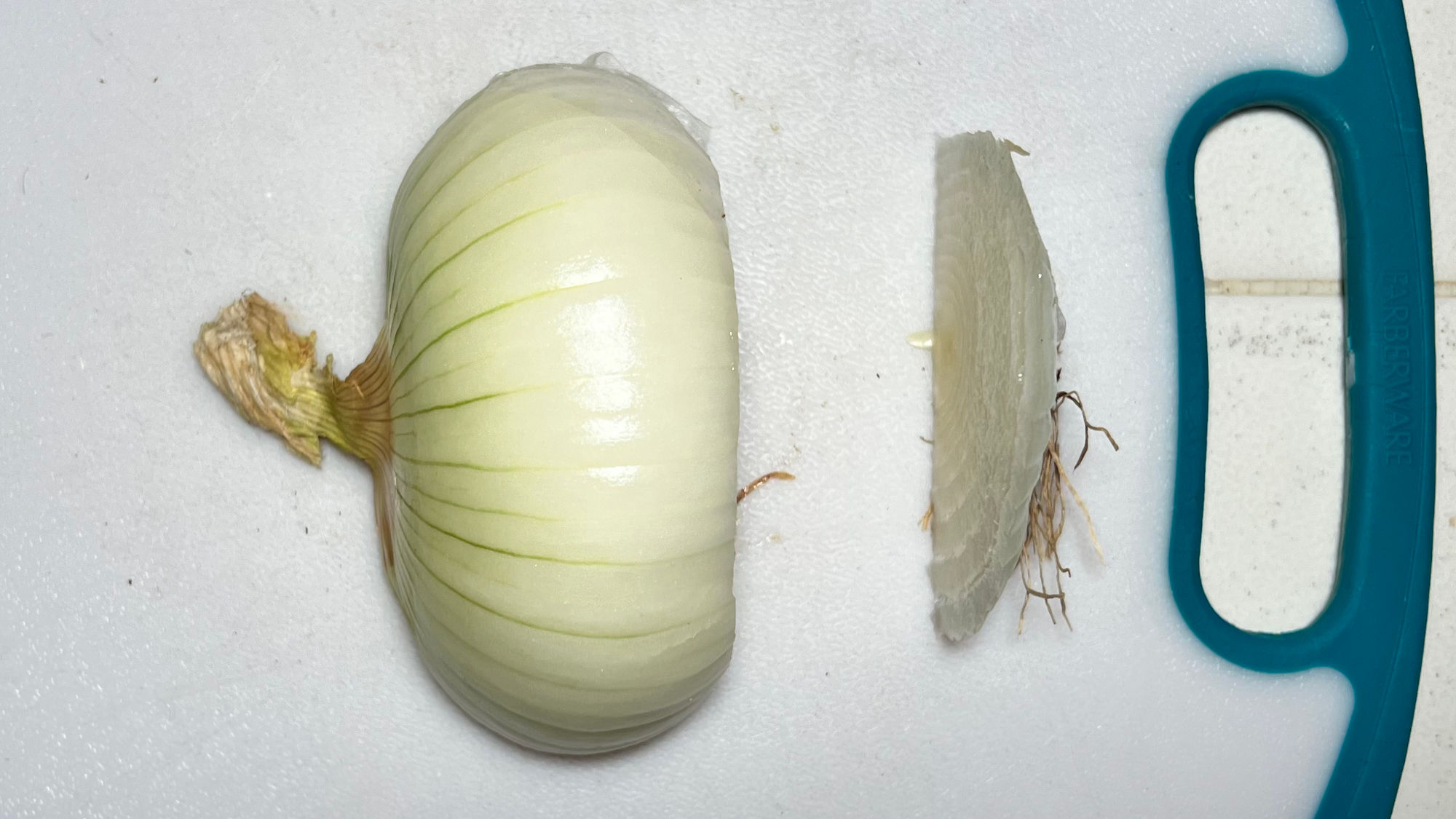 How to Dice an Onion Cut off one end