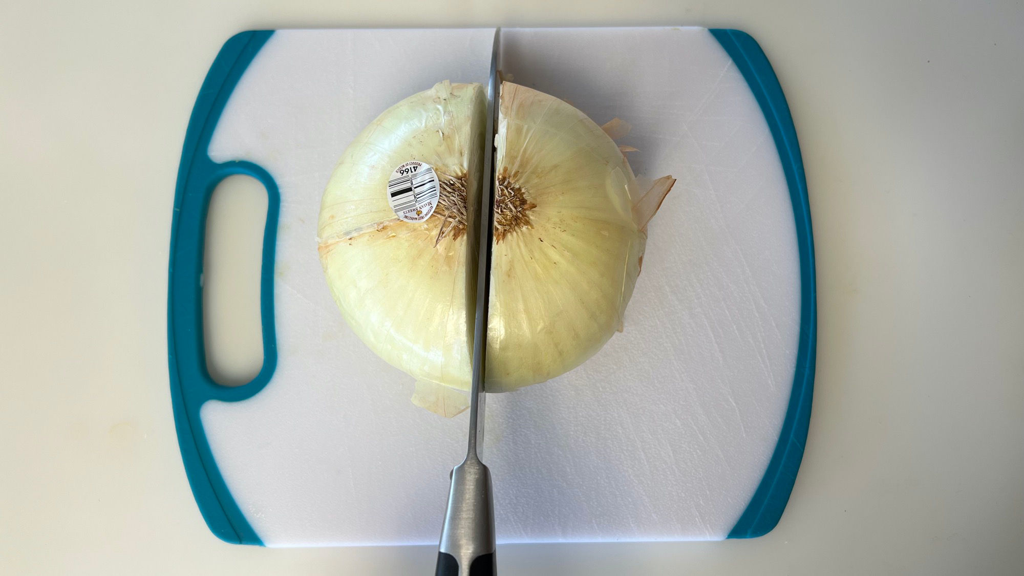 How to Slice an Onion Root to Stem