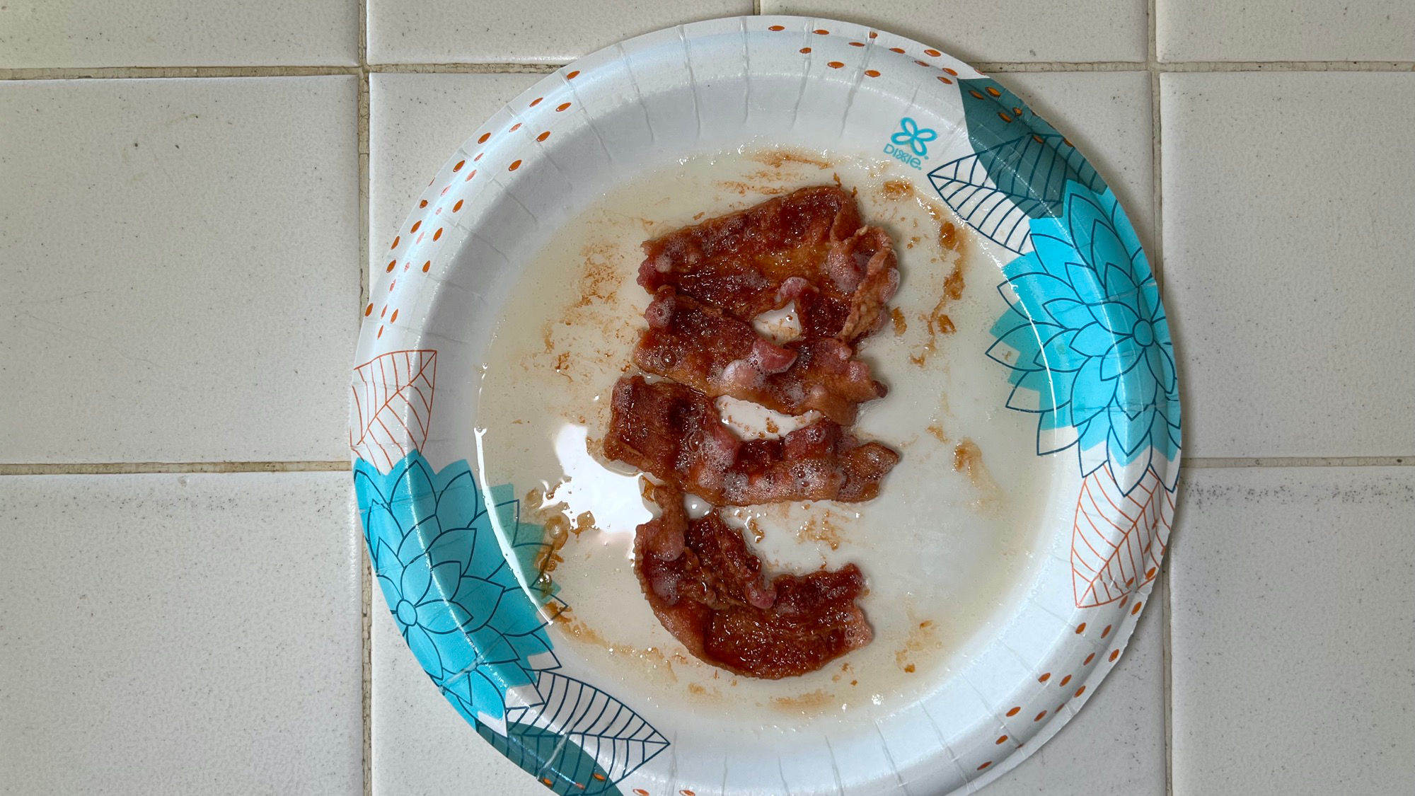 Microwave Oven Bacon 3 Minutes