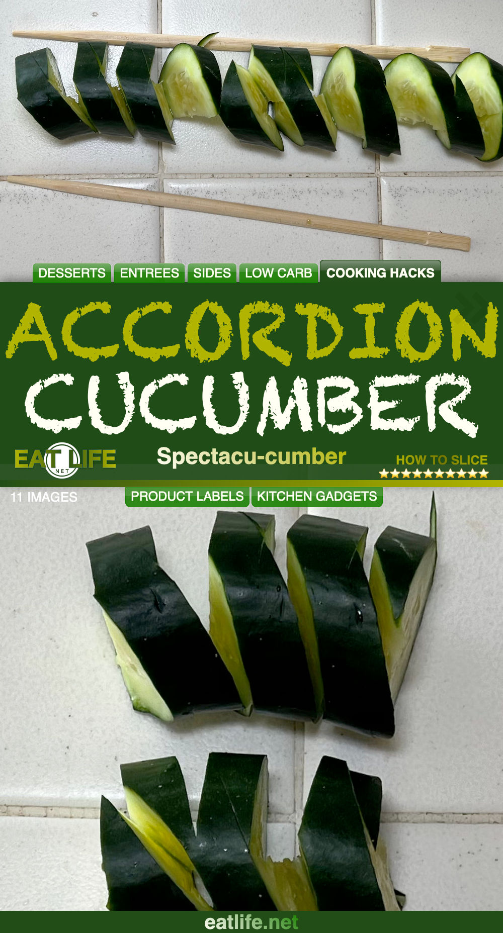 Accordion Cucumber