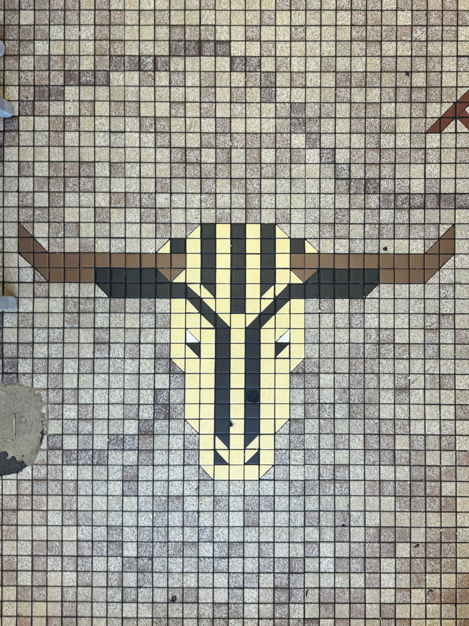 Tile Floor Bull Arby's Tile Floor Bull