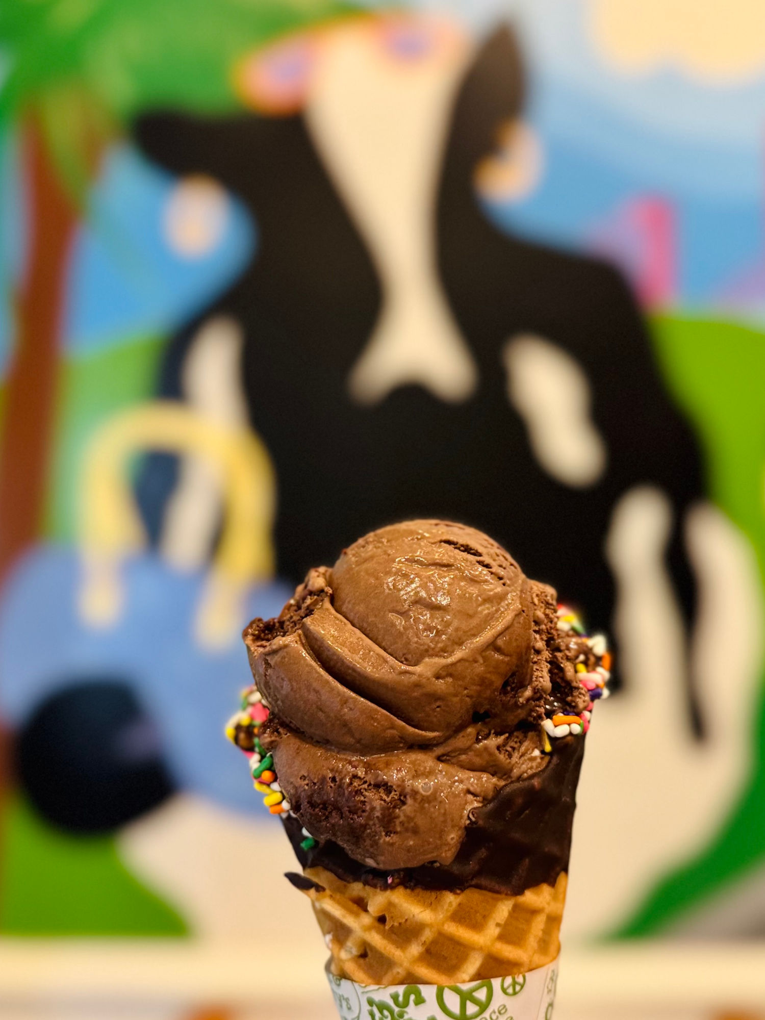 Chocolate Fudge Brownie Cone Ben & Jerry's Chocolate Fudge Brownie Cone
