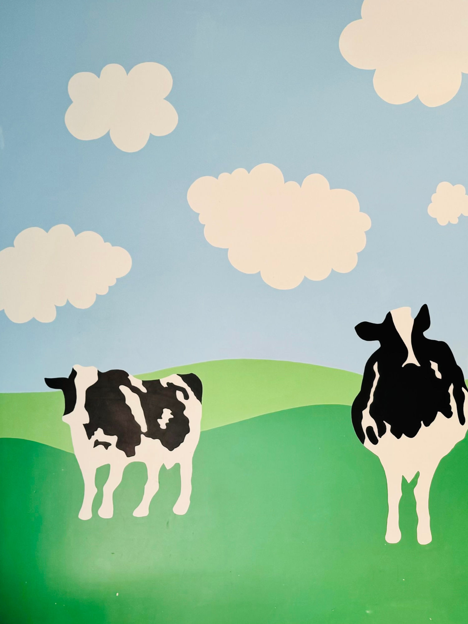 Cows Ben & Jerry's Cows