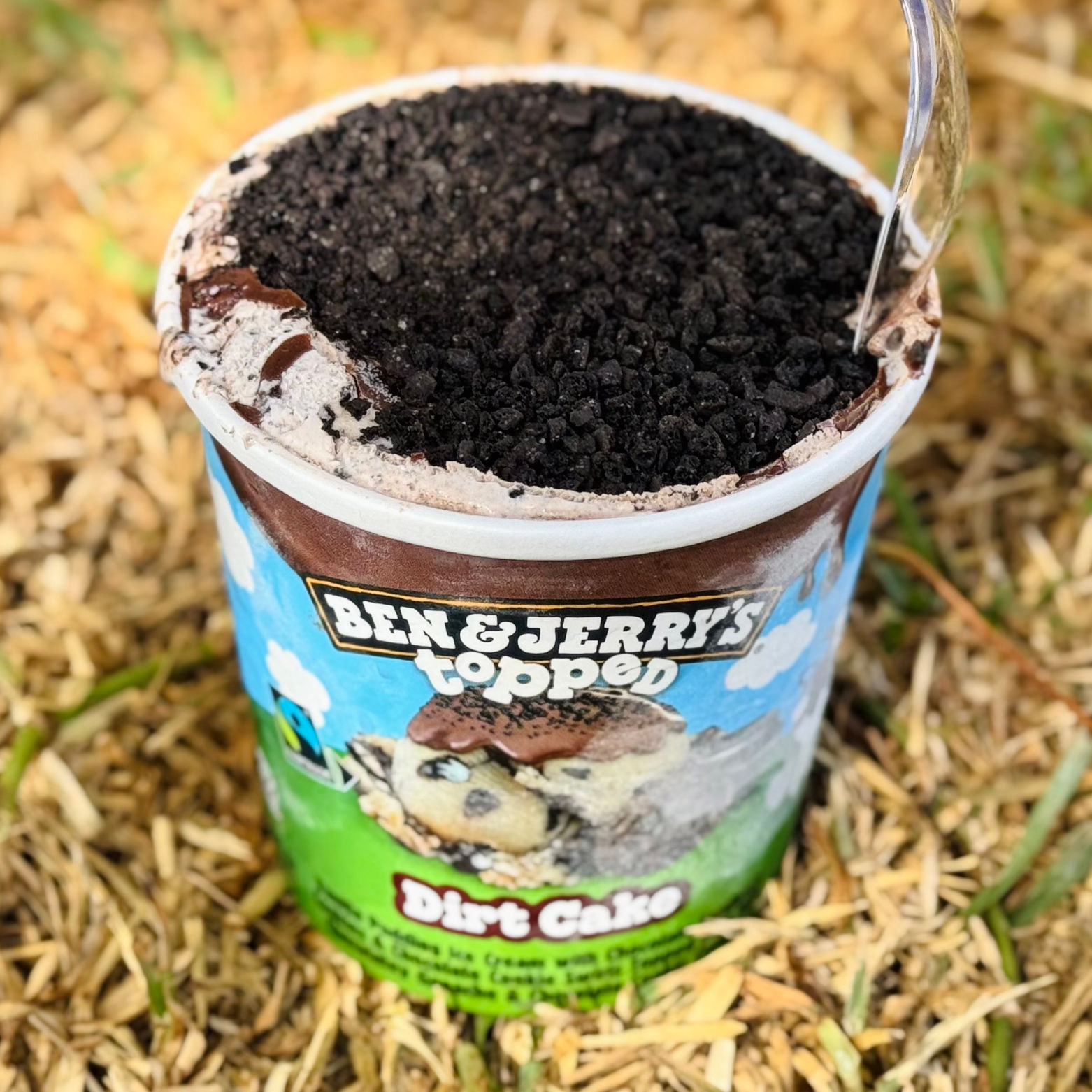 Dirt Cake Ben & Jerry's Pint Dirt Cake