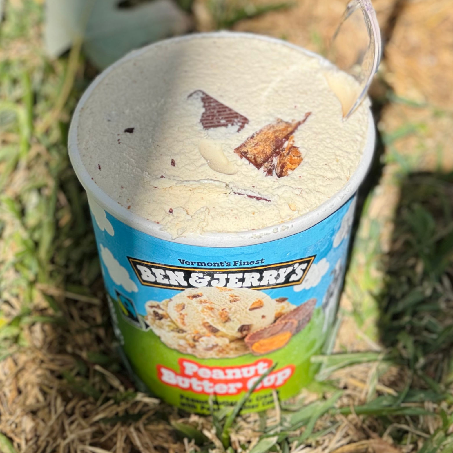 Peanut Butter Cup Ben & Jerry's Pint Peanut Butter Cup
