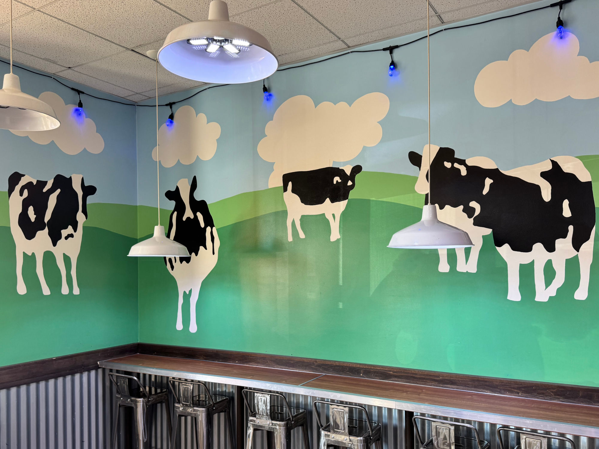 Valencia Cows Ben & Jerry's Valencia Cows
