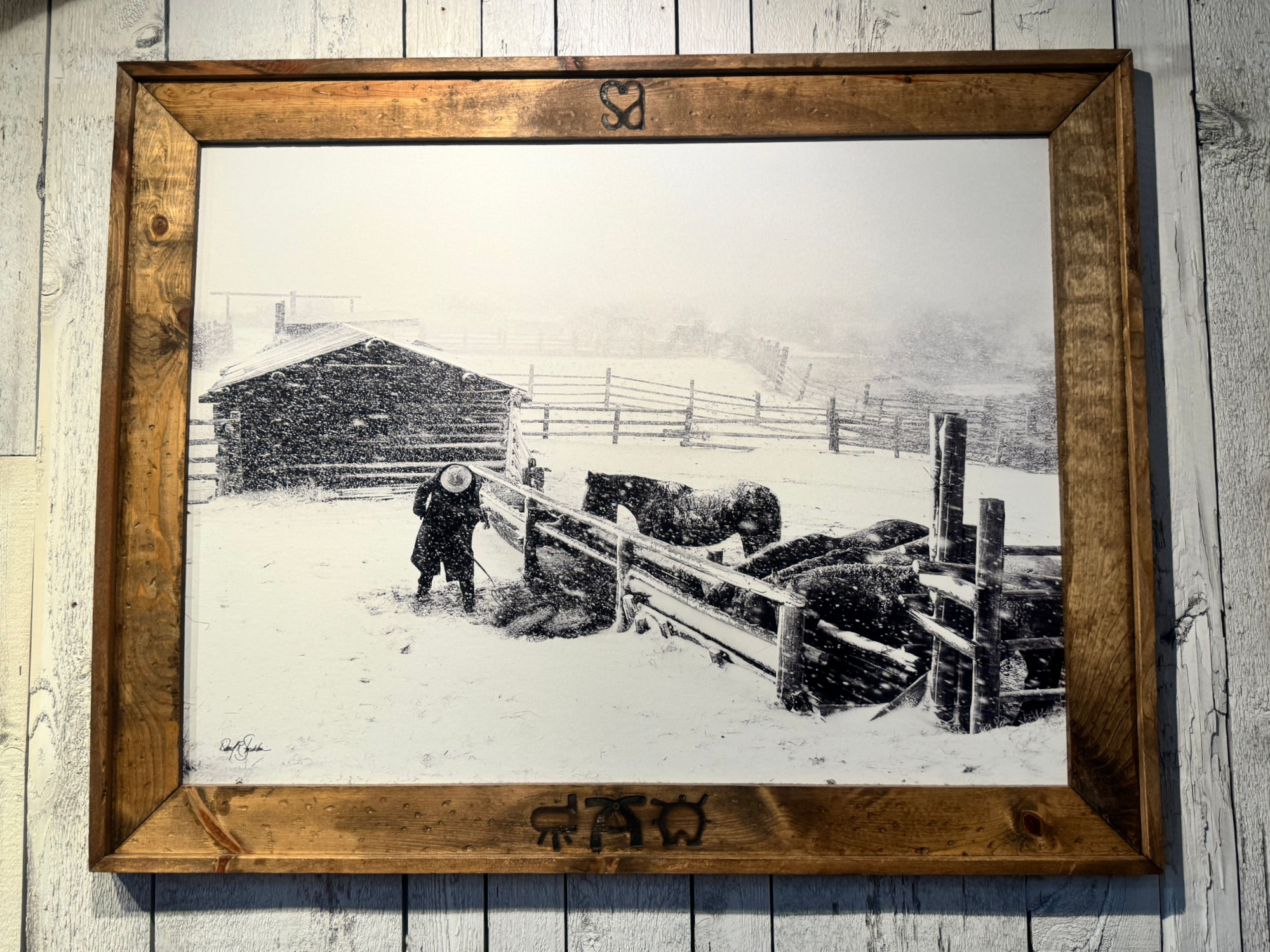 Cold Black Angus Decor Cold