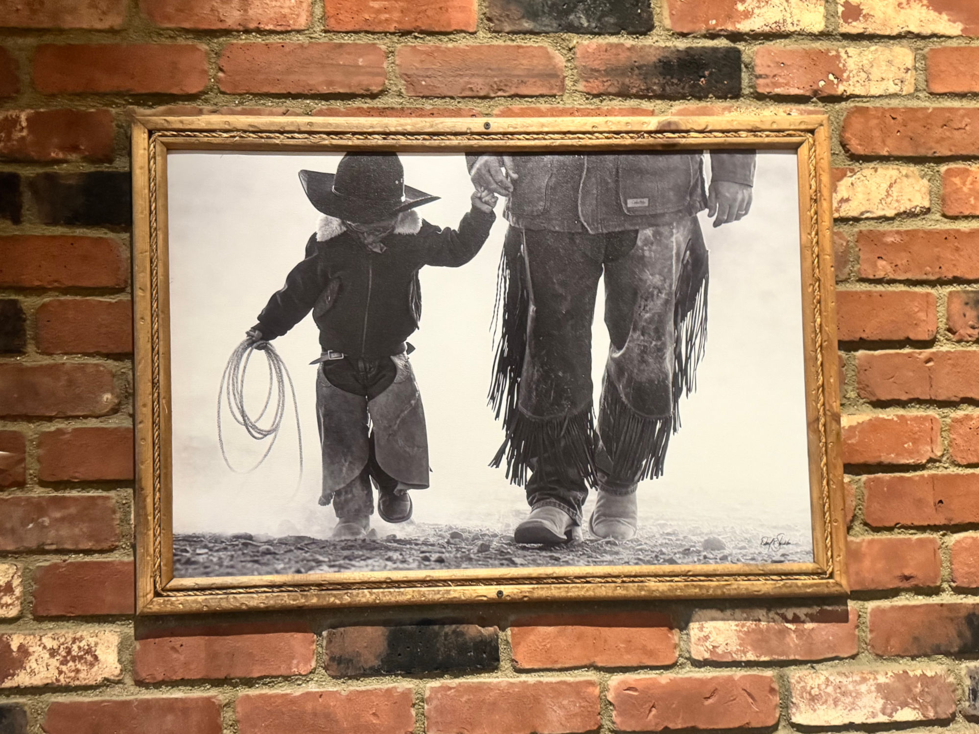 Cowboys Black Angus Decor Cowboys